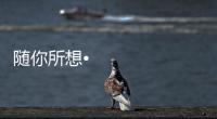 随你所想•体验未来丨海信照明系统
，照亮你的生活