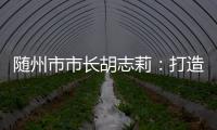 随州市市长胡志莉：打造汉襄宜“金三角”重要节点城市丨中国市长说