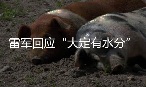 不足“小米YU7定价25.35万起