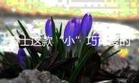 雷士这款“小”巧可爱的灯，居然有“大”作用