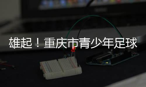 启幕除了团队最高荣誉外