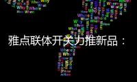 雅点联体开关力推新品�
：拉丝黑开关
