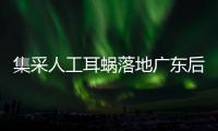 集采人工耳蜗落地广东后，哪些人最受益
	？