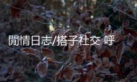 閒情日志/搭子社交 呼之则来挥之则去的友谊？