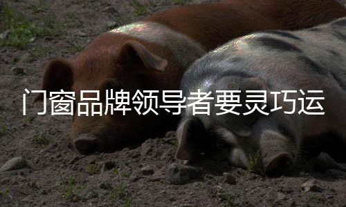 就是领导略实领导只制定方案