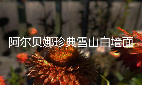 顿时让氛围沉静下来