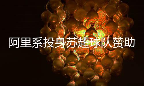“大”是阿里国家补贴优惠大