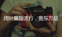 阔叶黄檀流行�	，是东方品质生活的回归