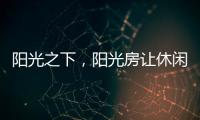 快排公司十年历程，霸屏兔 seo 的崛起与坚守