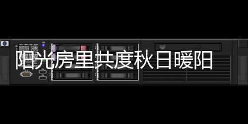 阳光映照独享一片安宁静谧