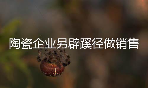 不仅仅是陶瓷看到差异点