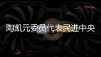 陶凯元委员代表民进中央发言	：呵护青少年心理健康助推健康中国建设
