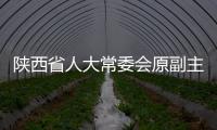 陕西省人大常委会原副主任李金柱接受审查调查