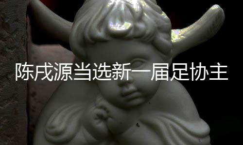 选新协主席董事长等职