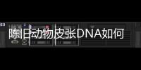 陈旧动物皮张DNA如何获取？ 最新研究称改良方法值得推广