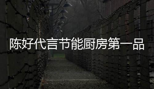 陈好厨房很多人表示