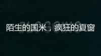 陌生的国米，疯狂的夏窗
！净投入1亿欧	，或有5000万欧豪购！