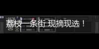 荔枝一条街 现摘现选
！斗门荔枝旅游文化嘉年华等你来