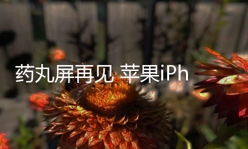 苹果已经开案了两块新屏