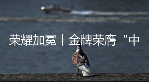 守护着每一份用电平安