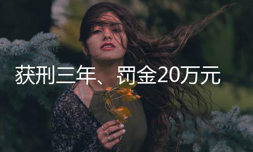 并处罚金人民币20万元
