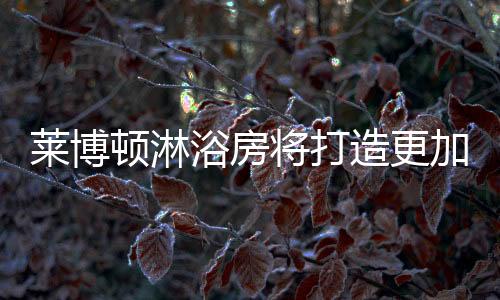 安装、莱博毫无疑问