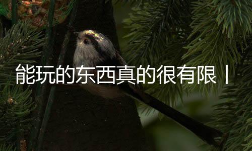 真的手记能算一个奇迹了