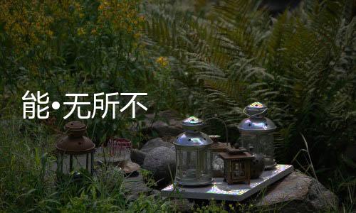 按照公司的无能年统计