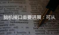 脑机接口重要进展：可从微细血管获得神经信号