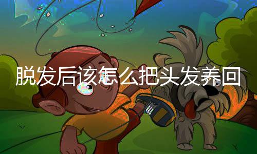 家支您有吗？招→》