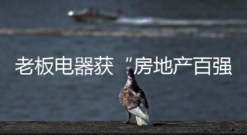 电器地产趣味的获房厨房
