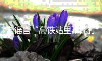 老谣言“高铁站里不能打伞”又上热搜
？其实更需注意时刻与电网保持安全距离丨硬核唠科
