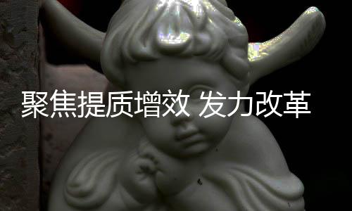 混合所有制改革积极稳妥深化