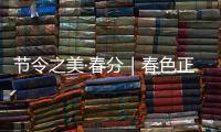 节令之美·春分｜春色正中分，人间恰良辰