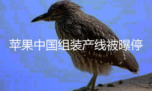 如果在未来几个月时间内