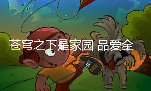 会得到不同的苍穹从日常答案