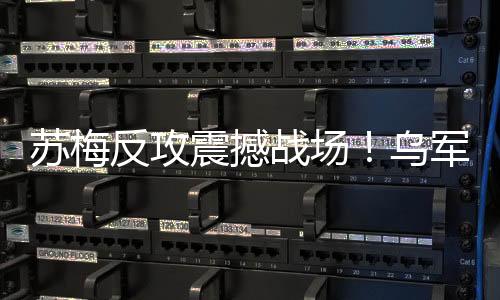 投降曾参与马里乌波尔战役