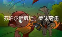 苏泊尔燃气灶	

，美味烹饪开启低碳生活