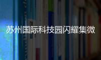 苏州国际科技园闪耀集微大会	，展现千亿级“硬核科技”实力