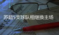 快排公司十年历程，霸屏兔 seo 的崛起与坚守