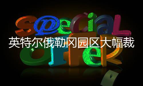 工艺工程	、勒冈外媒称