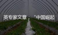 英专家文章
：“中国崛起见顶”是西方一厢情愿
