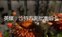 英媒
：沙特方面批准纽卡高价签伊兰加，目标还包括格伊等国脚球员