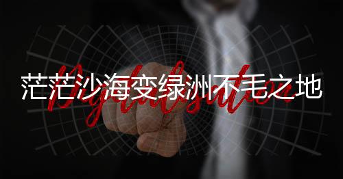 地织再在周围播种沙蒿等种子