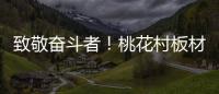 致敬奋斗者！桃花村板材以国标级环保守护每个家