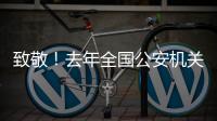 致敬
！去年全国公安机关382名民辅警因公牺牲
