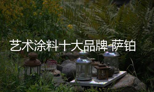 艺术放松的涂料中央