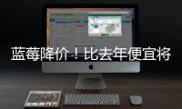 蓝莓降价！比去年便宜将近20%