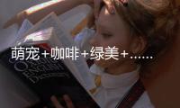 萌宠+咖啡+绿美+……这个周末在珠海，带TA去拥抱春天