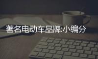 著名电动车品牌:小编分享电动车电池的科学保养法